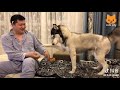 🤣 Funniest Cats 🐱 And Dogs 🐶! Awesome Animals 2019