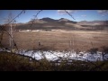 Forests