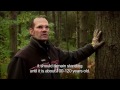 Forests