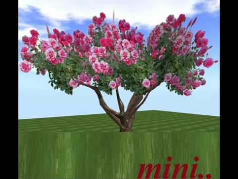 Devadaroo Poothu En Manassin..!! (Mini Anand)