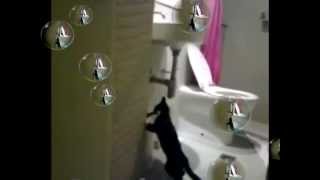 Watch Ratcat Everything Is Happening Again video