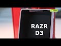 D3
