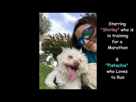 The Pistachio and Shirley Dog Park Marathon!