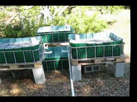 Greenhouse Aquaponics System Design