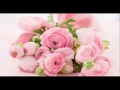 Quinceañera Cancion Para Vals