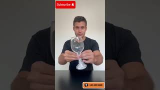Diy Wine Gl Projector Genius Hack Or Total Fail?