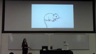 Getting Back To The Basics Of Pain By Angela Smith
