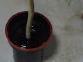 developing