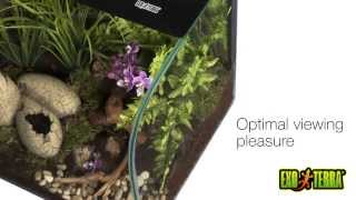 Exo Terra Habisphere Terrarium