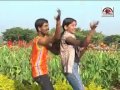 tapale paar uti lamabadi song