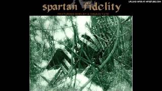 Watch Spartan Fidelity Where Is This Coming From video