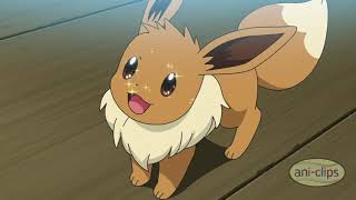 Chloes Eevee Copycat - Pokemon Journeys