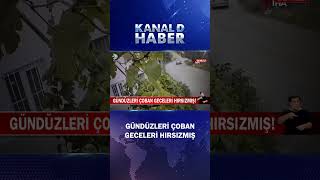 Gündüzleri Çoban Geceleri Hırsızmış 15 Ayrı Suça Karıştılar