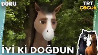 Doru I İyi Ki Doğdun 46.Bölüm