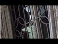 Tái mặt khi gặp hàng xóm biến thái, vừa 'tự sướng' vừa vẫy tay khiêu khích