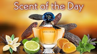 SOTD: Shalimar EDP by Guerlain, a grown up complex and comforting iconic beauty