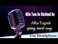 Mile Tum Se Bichhad Ke Hum Full Spring Reverb Song By Alka Yagnik