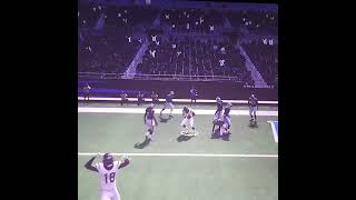 Texans V. Panthers.. Final Drive Td. Flex Sealed Carolinas Fate