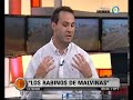 Visión Siete: Libro: "Los rabinos de Malvinas" Visión Siete: Libro: "Los rabinos de Malvinas"