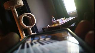 Hear Piano Note D3 Edited