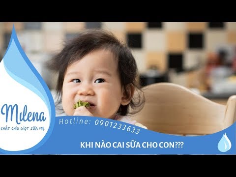 KHI NÀO CAI SỮA CHO CON? | PHẦN 1 | MILENA