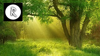 8 Hours Celtic Music With Rain Soothing Background Music Sleep Music 8 Hours Celtic Music With Rain Soothing Background Music Sleep Music