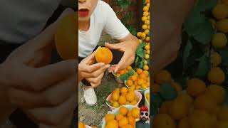 Orange Furt Konsa H Ye ,