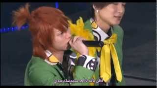 Watch Super Junior Don