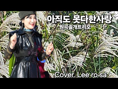 가수이로사💕아직도못다한사랑(솔개트리오)도곡양재천 갈대밭촬영