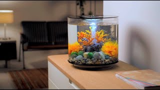 Aquarium Design Inspiration Biorb Tube 15