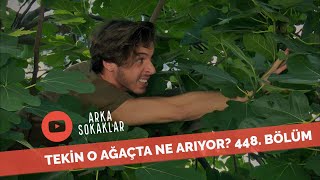 Tekin Ağaçta Muhabbet Kuşu Arıyor 448. Bölüm