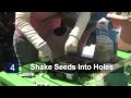 Vegetable Gardening : How to Grow Onion Transplants From Seeds