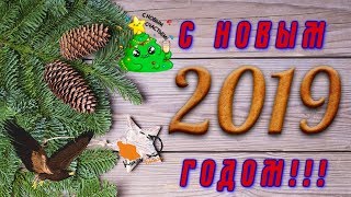 С Наступающим 2019 Годом!!!