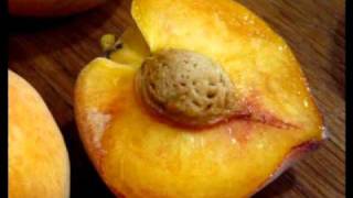 Watch Blur Peach video