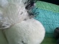 2 - Funny Toucan And Crazy Cow Grandma!!~Webkinz