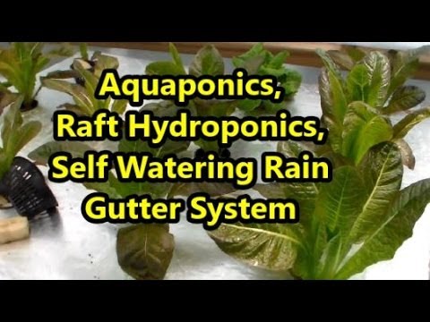 Rain Gutter Hydroponics System Plans