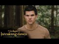 'It's A Wolf Thing' | Twilight Saga: Breaking Dawn - Part 2