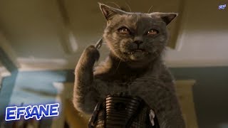 Kediler Ve Köpekler - Rus Ajanı Saldırısı Hd