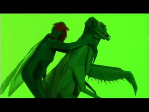 Pussy would asian praying mantis humming birds nevermind, one's