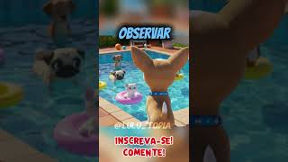 Alguém Fez Xixi Na Piscina