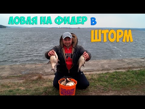ловля на фидер в ростове ловля на фидер в ростове