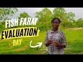 FISH FARM EVALUATION DAY | Setting up a Catfish Farm in Nigeria #catfishfarming #thefarmlady