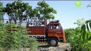 Beautiful Nursery From Pune & Patkul Mohol, Make Green Your Yard