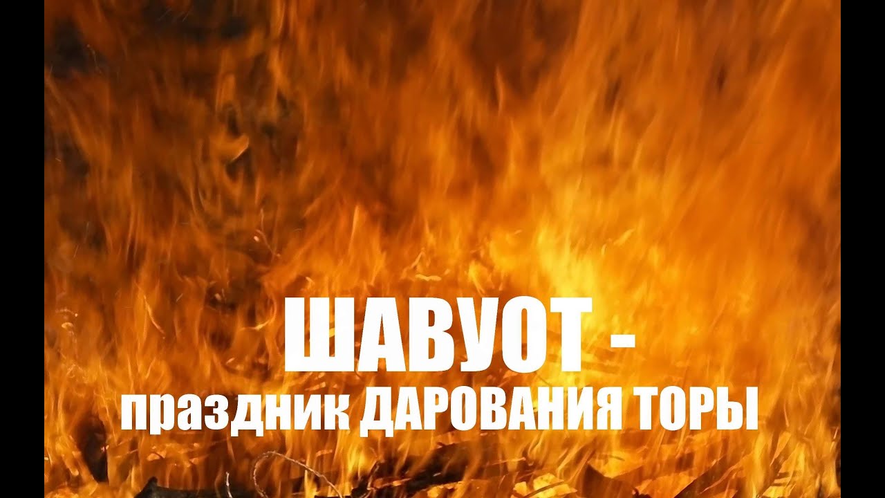 Как сделатьшопом совместное Как сделатьшопом совместное