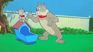 Tom And Jerry Hic Cup Pup 1954