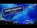 Sealife Aquarium: Charlotte NC