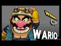 Smash Bros 3DS: All Victory Pose Animations (+ Koopalings & Character Alts! - English)