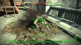 Fallout 4 Получил В Хлеборезку