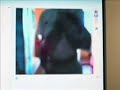spogliarello in web cam