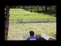 Proyecto Jardín Botánico.